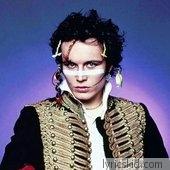 Adam Ant Lyrics