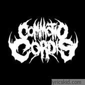 Commotio Cordis Lyrics
