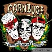 Cornbugs Lyrics