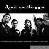 Dead Mushroom Lyrics