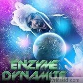 Enzyme Dynamite Lyrics