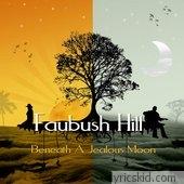 Faubush Hill Lyrics