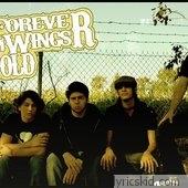 Forever Wings Fold Lyrics