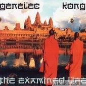 Genelec & Master Kong Lyrics