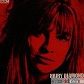 Hairy Diamond Lyrics