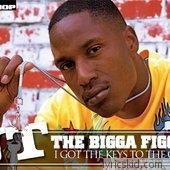 Jt The Bigga Figga Lyrics