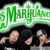 Los Marijuanos Lyrics