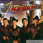 Los Tigrillos Lyrics