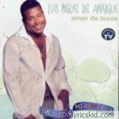 Luis Miguel Del Amargue Lyrics