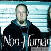 Non-human Level Lyrics