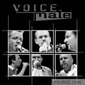 Voice Male Lyrics